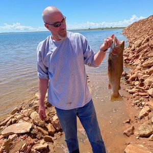 Meet your Posher, Joe